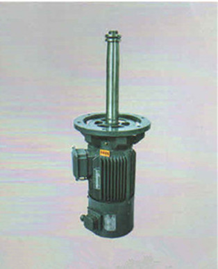 儀征真得電機(jī)有限公司