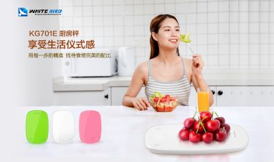 中山百鳥電子有限公司