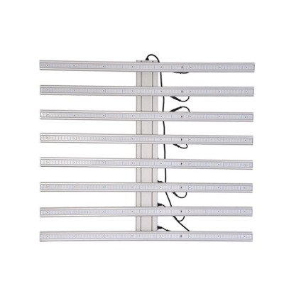 中山綠旺光電科技有限公司