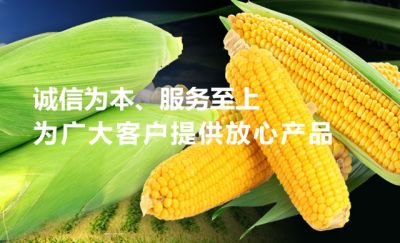 樂亭縣昌泰食品有限公司