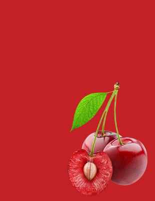 樂亭縣金田果菜有限公司