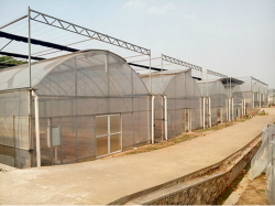 湖北潤維農(nóng)業(yè)科技有限公司