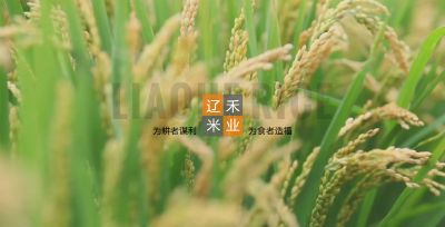 遼寧盤錦遼禾米業有限公司