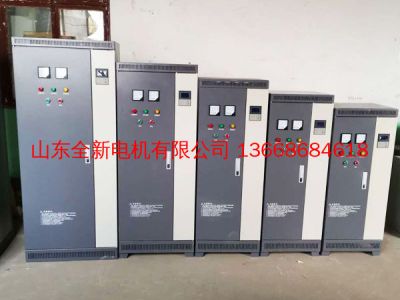 山東全新電機(jī)有限公司