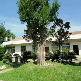 武漢綠意山水園林工程有限公司