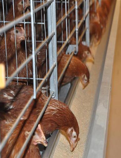 河北易牧達畜牧設備有限公司