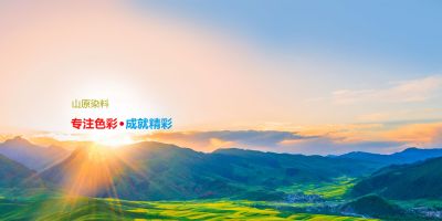 上海山原染料化工有限公司