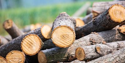 永清縣龍虎莊昊興樓梯加工廠