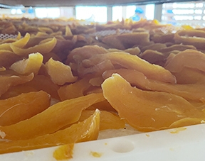 泉州玖發機械有限公司