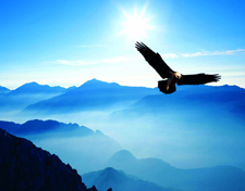 東莞市新橋聯(lián)復(fù)合材料科技有限公司