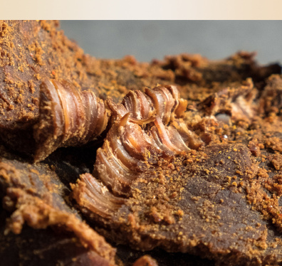 青島青松食品科技有限公司