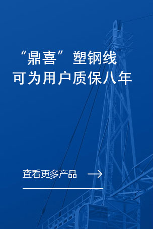 山東鼎和塑業有限公司