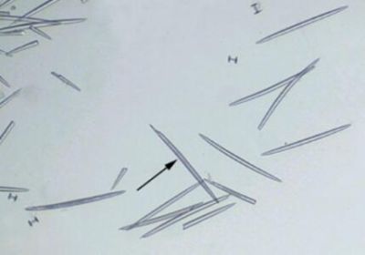 河南大科教學(xué)儀器有限公司