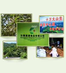 東莞星滿食品有限公司