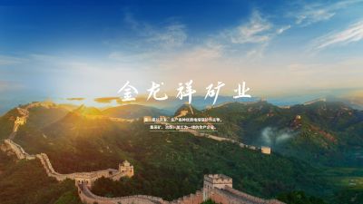 大石橋市金龍祥礦業有限公司