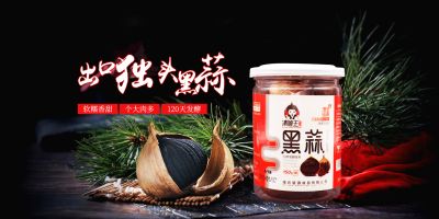 濰坊望源食品有限公司