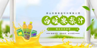 唐山東辰食品飲料有限公司