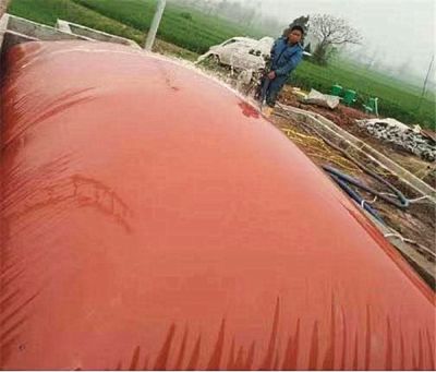 致力于新農(nóng)村養(yǎng)豬場(chǎng)