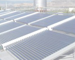 天天順新能源有限公司