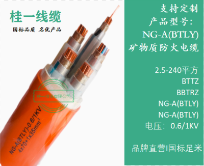 廣西桂一線纜有限公司