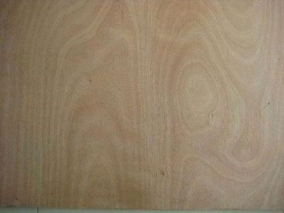 山東天地遠洋木業(yè)有限公司