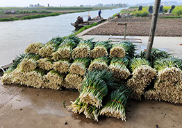 興化市味明食品有限公司