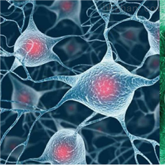 伊萊博生物科技（上海）有限公司
