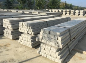 新元果業(山東)集團有限公司