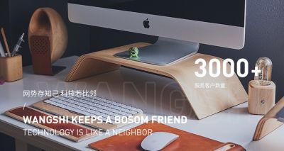 沈陽網勢科技有限公司