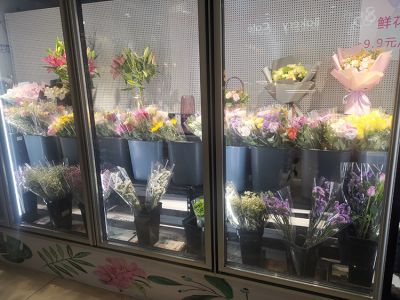 福州鑫佳安制冷設備有限公司