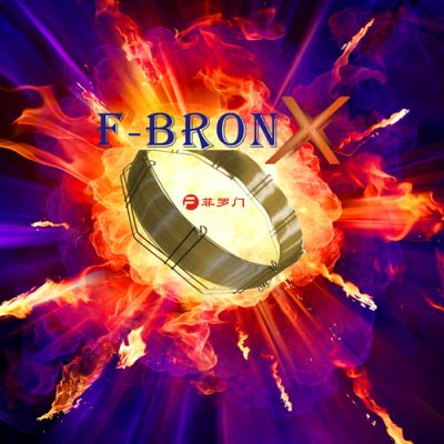 廣州菲羅門科學儀器有限公司