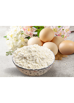 山東新富龍生物工程股份有限公司