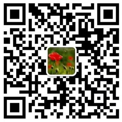 石家莊明德包裝機械有限公司