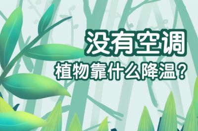 苗木行業(yè)市場(chǎng)