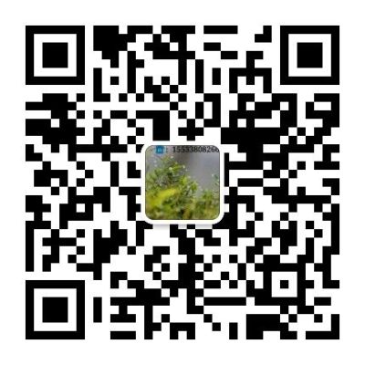 專業的鋼筋焊接網廠