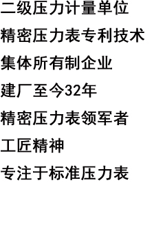 西安市高精密儀表廠