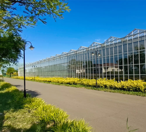 青州全江農(nóng)業(yè)科技有限公司