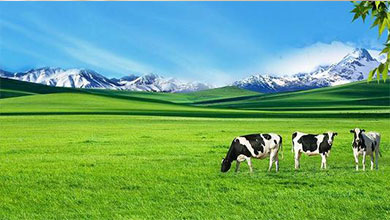 深圳市創業宏電子商務有限公司