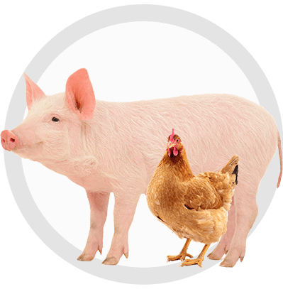 康那生物技術(山東)有限公司