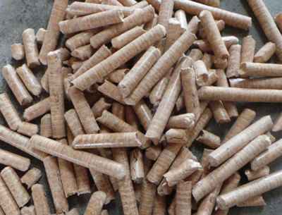 臨沂博碩生物質能源廠