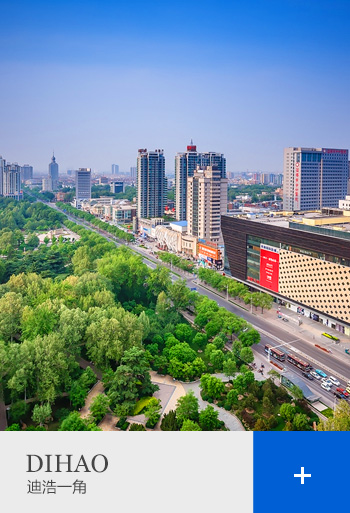 淄博迪浩電子有限公司