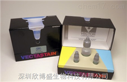 深圳欣博盛生物科技有限公司