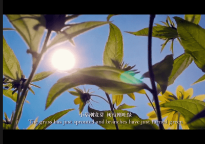 天津天源文化傳媒有限公司