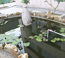 濰坊凱華碳化硅微粉有限公司