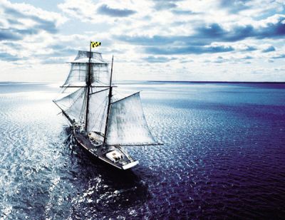 廣州頂凡變色顏料科技有限公司