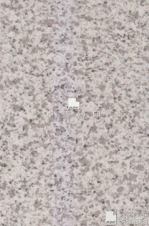 東莞市卓藝印刷制品有限公司