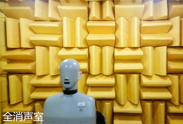 廣州理音聲學技術有限公司