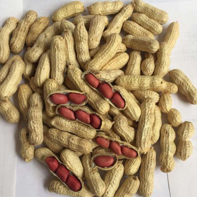 南陽(yáng)市五色田食品科技有限公司