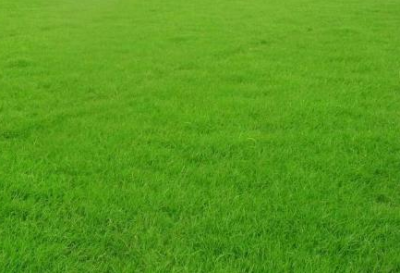 重慶市璧山區(qū)匯久園林綠化有限公司