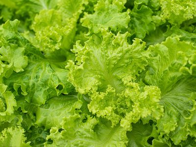 蘭州同創(chuàng)食品集團(tuán)有限公司